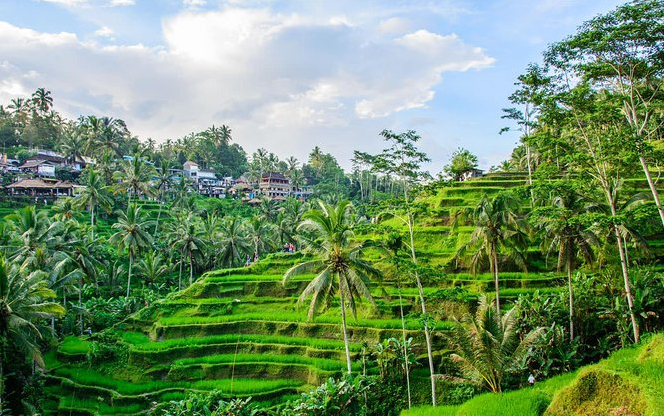 Tempat Hangout di Ubud